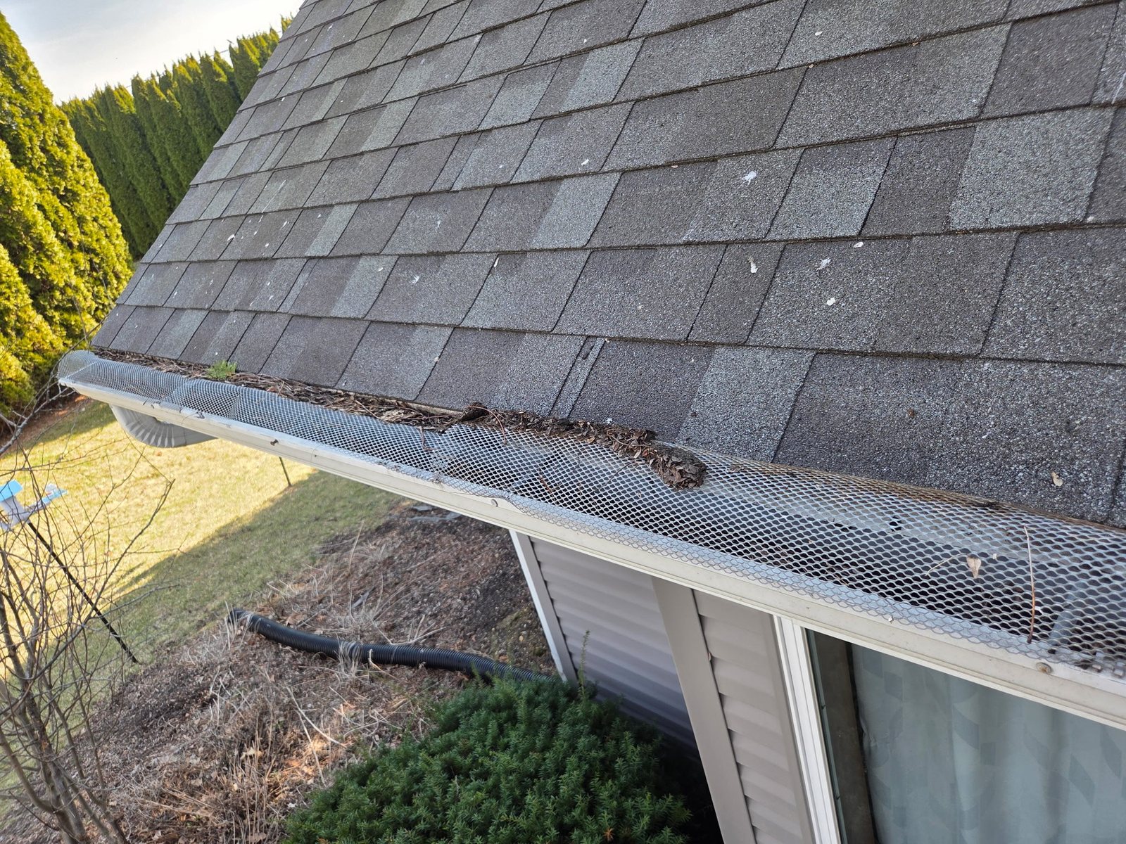 Before photo showing leaves and debris sitting on old gutter screen protection along the roof edge